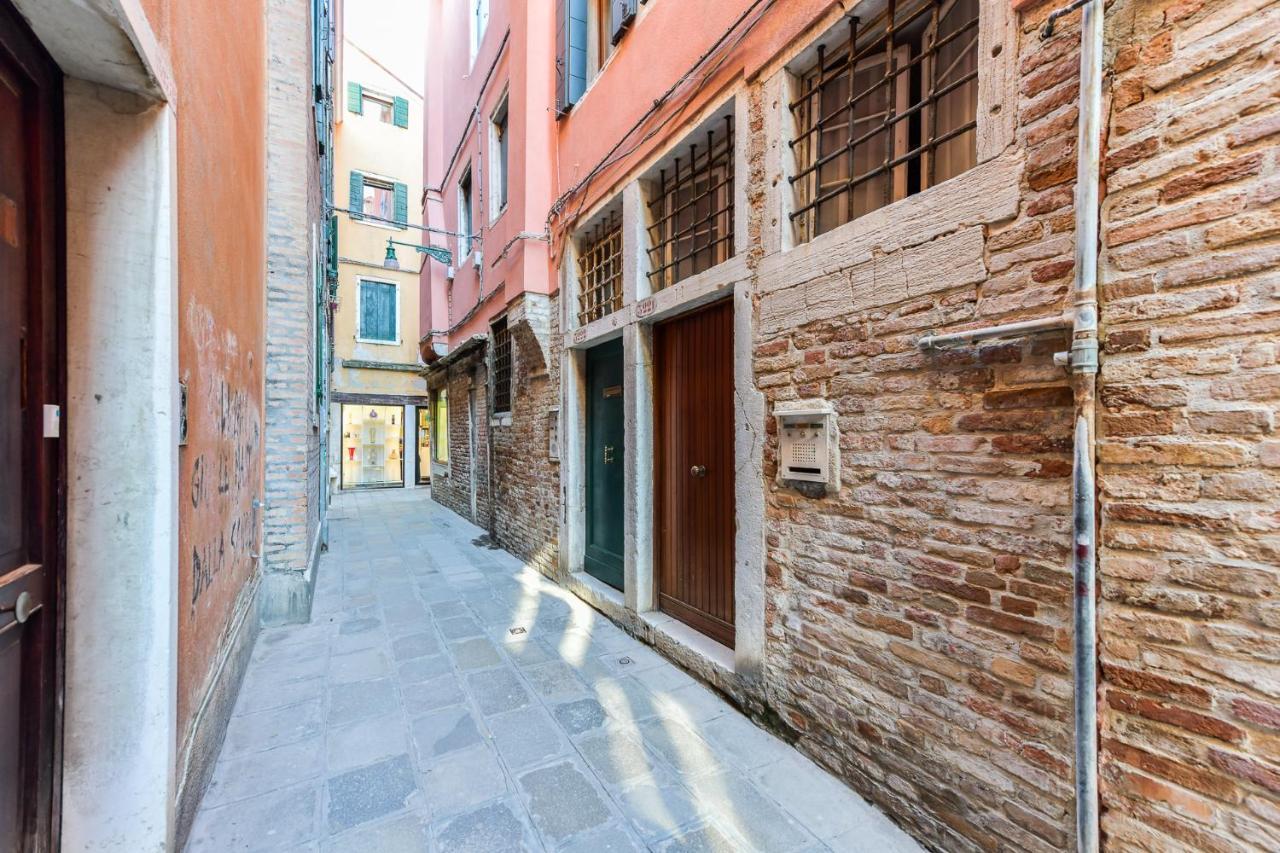 Mimosa * Venezia